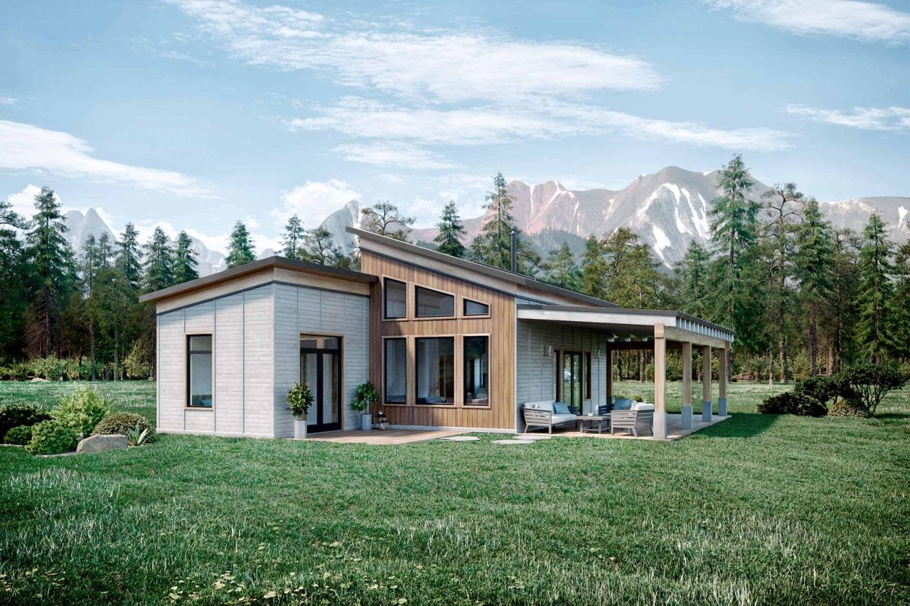 23+ House Plans For 1200 Square Feet Pictures Home Decor Handicrafts