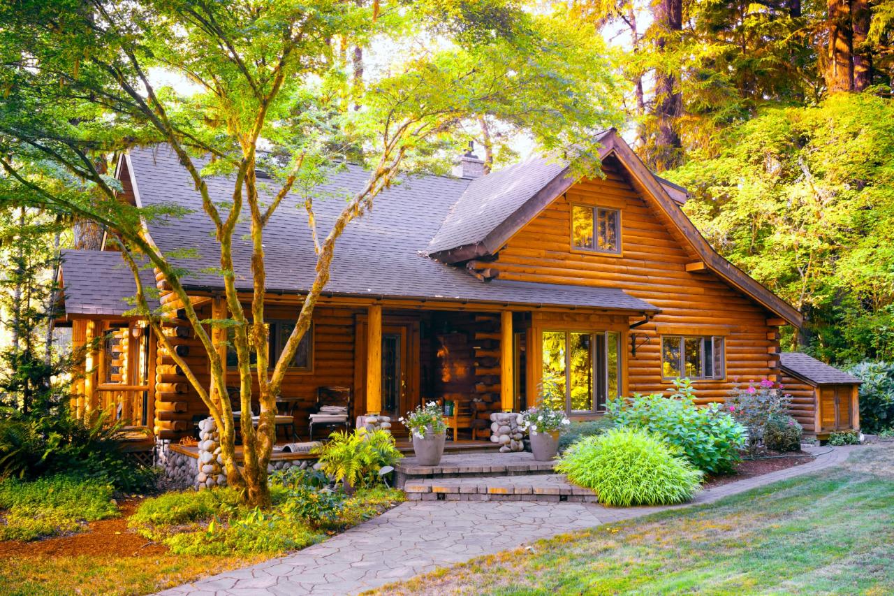 Red River Rentals for Every Type of Traveler Scenic Cabin Rentals