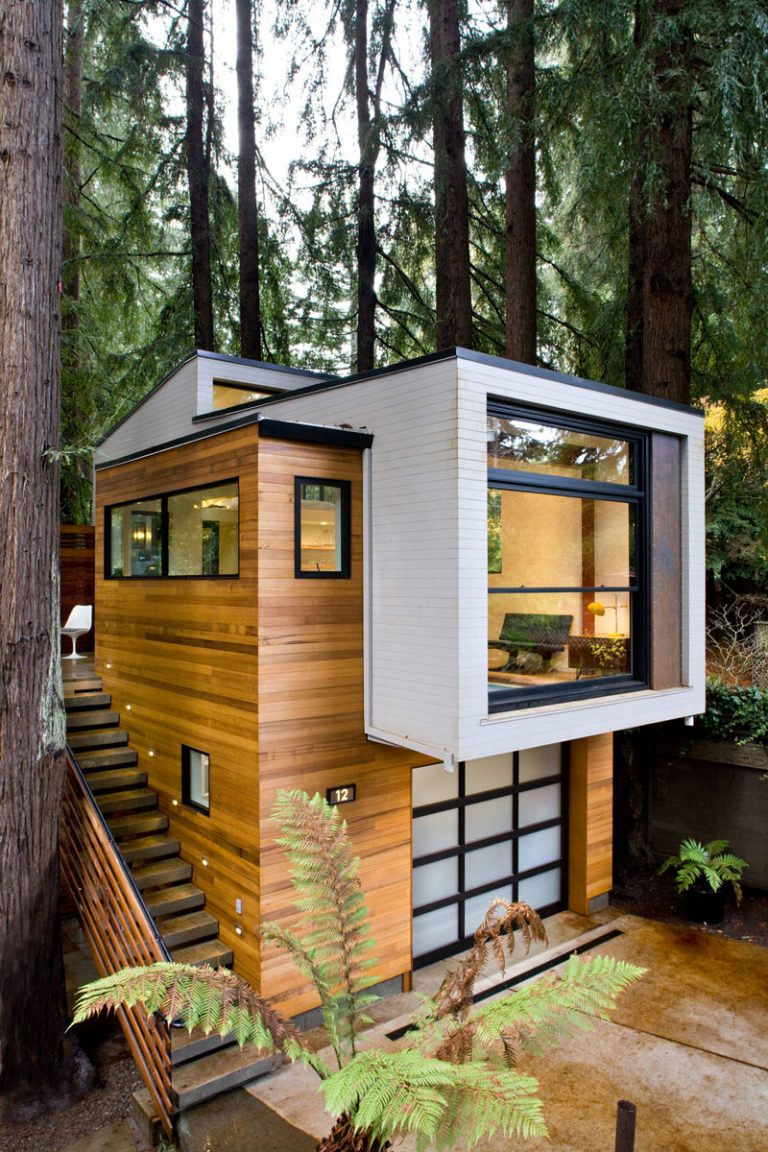 Custom Modern Small House in the Forest Mill Valley, California in