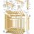 Famous Small Shed Floor Plan 2023